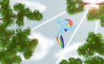  2013 cloud equine evil-dec0y female feral flying friendship_is_magic hair horse light_rays mammal multi-colored_hair my_little_pony outside pegasus pony purple_eyes rainbow_dash_(mlp) rainbow_hair solo sun tree wings 