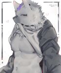  1boy absurdres arknights clothes_in_mouth collar dated eyebrow_piercing fang furry furry_male grey_eyes grey_jacket heart highres hyena_boy jacket looking_at_viewer male_focus mouth_hold multicolored_hair navel nipples p7ywirzyw8lesuc pectorals piercing shirt_in_mouth signature solo spot_(arknights) streaked_hair white_background 