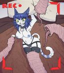 ambiguous_gender anthro big_breasts breasts clothing collar domestic_cat felid feline felis female female/ambiguous female_anthro female_focus femaleprey forced garter_straps hi_res legwear mammal oral_vore peril querkii_cat143 recording solo tail tentacles thick_thighs thigh_highs unwilling_prey vore