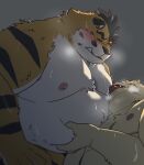 2024 anthro belly belly_grab big_belly black_nose blush bodily_fluids duo eyes_closed felid hi_res hon55728 kemono male mammal moobs nipples overweight overweight_male pantherine simple_background sweat tiger