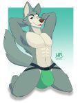 2024 abs absurd_res anthro beastars big_bulge bulge canid canine canis clothed clothing fur hi_res legoshi_(beastars) male mammal muscular muscular_anthro muscular_male nude simple_background solo whippedmint wolf
