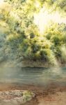  bush cliff day forest highres nature no_humans original painting_(medium) plant river riverbank scenery shimizu_megumi_(m_acquerello) sunlight traditional_media water watercolor_(medium) 