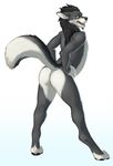  anthro anus butt canine feline hybrid lion looking_at_viewer looking_back male mammal nude plain_background pose presenting presenting_hindquarters raised_tail scar solo standing thewhitefalcon white_background wolf 