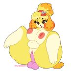 2024 absurd_res accessory animal_crossing anthro arcadebunn arcadebunni belly big_belly big_breasts big_butt big_nipples blush breasts butt canid canine canis cellulite curled_hair dildo dildo_sitting domestic_dog english_text female hair hair_accessory hairband hi_res huge_butt isabelle_(animal_crossing) mammal moan nintendo nipples open_mouth penetration sex_toy shih_tzu slightly_chubby slightly_chubby_female solo text thick_thighs toy_dog wide_hips yellow_body