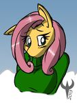  anthro anthrofied clothing cute equine ethanqix female fluttershy_(mlp) friendship_is_magic hair j5furry mammal my_little_pony pegasus pink_hair portrait solo sweater wings 