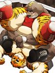  anthro bear beast biceps clothing duo feline fighting_ring fur gay hair male mammal muscles ring texas_piledriver tiger topless underware underwear unknown_artist wrestler wrestling 