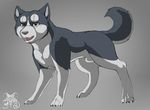 canine dog feral gin ginga_densetsu_weed male mammal metalfox watermark weed_(character) 