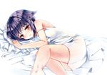  bad_id bad_pixiv_id blush brown_eyes dress idolmaster idolmaster_cinderella_girls koshimizu_sachiko lying on_side pillow purple_hair shimakoma short_hair solo strap_slip 