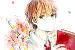 bad_id bad_pixiv_id book brown_hair chihayafuru flower male_focus mashima_taichi necktie petals rue_(wyha666) simple_background solo traditional_media white_background yellow_eyes 