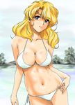 bare_shoulders bikini blonde_hair blue_eyes breasts cleavage collarbone day large_breasts long_hair midriff navel shiny shiny_skin shu-z solo super_robot_wars super_robot_wars_the_lord_of_elemental swimsuit tytti_norback 