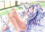  :o animal_ears bad_id bad_pixiv_id bare_legs barefoot blush breasts bunny_ears dress_shirt feet futon kobanzame large_breasts lavender_hair legs long_hair lying marker_(medium) morning naked_shirt no_bra on_back open_clothes open_shirt red_eyes reisen_udongein_inaba shirt solo tatami touhou traditional_media unbuttoned 
