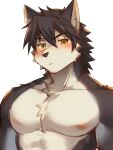 2024 3:4 anthro blush canid canine canis clothed clothing colored countershade_face countershade_torso countershading domestic_dog fur grey_body grey_fur grey_hair hair husky kouya_(morenatsu) male mammal morenatsu multicolored_body multicolored_fur nordic_sled_dog simple_background solo spitz topless topless_anthro topless_male two_tone_body two_tone_fur unknown_artist white_background yellow_eyes