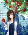  apple brown_eyes brown_hair food fruit head_tilt long_hair maigoyaki original polka_dot solo tree wall 