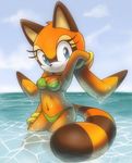  big_eyes big_head bikini black_nose blue_eyes bracelet breasts cleavage clothed clothing cute female fur hand_behind_head jewelry looking_at_viewer marine_the_raccoon nancher navel orange_fur pinup pose ringed_tail sea sega sky smile solo sonic_(series) standing summer swimsuit tight_clothing water wet 