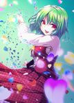  ascot dot_r green_hair kazami_yuuka long_sleeves looking_at_viewer open_clothes open_mouth open_vest petals red_eyes shirt skirt skirt_set smile solo touhou unmoving_pattern vest 