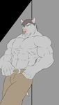  anthro belt biceps big_muscles brown_nose canine clothing dog fur grey_fur grey_hair hair jailbird looking_at_viewer male mammal muscles pants pecs pink_nose pose solo standing toned topless 