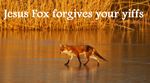  english_text feral fox lake mammal real text walking_on_water water 