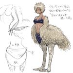  emu female harpy human_being_bizarre monster monster_girl solo taur 