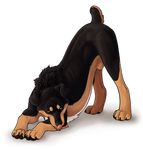  all_fours alpha_channel amber_eyes ass_up autumnsunrise black_fur black_nose black_pawpads brown_fur canine claws dog feral fur licking licking_lips looking_at_viewer male mammal pawpads plain_background rottweiler sheath solo tongue tongue_out transparent_background 