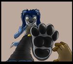  barefoot belt black_nose black_pawpads blue_fur blue_hair breasts c0nnerc00n chest_tuft close-up clothing disembodied_hand female first_person_view foot_focus fur grey_background grin hair hand hindpaw jeans looking_at_viewer low-angle_shot manki nose on_one_leg pants pawpads paws perspective plain_background plain_backround plantigrade rape_face shirt simple_background small_breasts soles standing teeth tuft yellow_eyes 