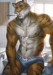  anthro bathroom beast biceps body_markings bulge clothing feline fur hair lion male mammal markings muscles nick300 nipples nude pecs pose solo stripes suggestive tiger toned topless underware underwear 