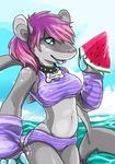 collar female fish hair marine pink_hair reisar shark solo watermelon 