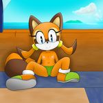  blue_eyes cub female flat_chested jetfrozen looking_at_viewer marine_the_raccoon panties sega solo sonic_(series) underwear young 