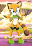  big_head cross-eyed female flat_chested floating_island front fur happy looking_at_viewer marine_the_raccoon mobius_unleashed multicolor_fur open_mouth palcomix presenting ringed_tail sega shoes sky smile solo sonic_(series) standing two_tone_fur undressing yellow_fur 