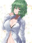  1girl bra breasts cleavage collared_shirt green_eyes green_hair kazami_yuuka large_breasts leaf looking_at_viewer open_clothes open_shirt shirt short_hair simple_background solo touhou underwear white_background white_shirt y2 