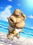 anthro beach bear belly blush bottomwear brown_body brown_fur clothing crave_saga fur gabu_(crave_saga) hi_res male mammal mega0923xxx moobs navel nipples overweight partially_submerged reaching_towards_viewer seaside shirtless shorts solo