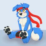 1:1 2024 absurd_res anthro bandai_namco biped black_nose black_pawpads blue_body blue_ears blue_fur blue_tail blush boxing_gloves chest_tuft claws clothing curled_tail digimon digimon_(species) dipstick_tail floppy_ears fur gaokun gaomon handwear hi_res male markings monotone_ears multicolored_body multicolored_fur neck_tuft pawpads paws solo tail tail_markings toe_claws tuft two_tone_body two_tone_fur two_tone_tail white_body white_fur white_tail yellow_eyes