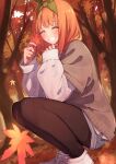  1girl absurdres autumn autumn_leaves black_pantyhose go-toubun_no_hanayome highres long_legs long_sleeves nakano_yotsuba orange_hair pantyhose short_hair shorts smile solo squatting sweater_vest white_footwear white_hair 