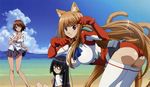  animal_ears asobi_ni_iku_yo! ass beach catgirl eris_(asobi_ni_iku_yo!) futaba_aoi kinjou_manami 