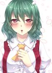  bad_id bad_pixiv_id blurry blush breasts checkered depth_of_field geike green_hair hand_on_own_chest highres kazami_yuuka large_breasts looking_at_viewer open_mouth petals red_eyes solo touhou vest white_background 