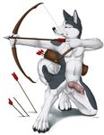  animal_genitalia anthro arrow arrowed balls bone bow bow_(weapon) canine canine_penis dog erection husky knot male mammal nude penis plain_background quiver ranged_weapon solo truegrave9 weapon 