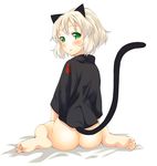  akino_sora animal_ears ass barefoot bed_sheet blush bottomless feet green_eyes long_toes looking_back sanya_v_litvyak short_hair silver_hair sitting soles solo strike_witches tail toes wariza world_witches_series 