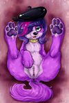  abstract_background anus canine claws collar digitigrade dimwitdog dog female foot_focus hat hindpaw invalid_tag littlest_pet_shop looking_at_viewer lying mammal nude on_back open_mouth pawpads paws pussy smile soles solo spread_legs spreading toes zoe_trent 
