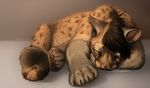 abstract_background black_fur cat cub eyes_closed feline feral fur katanimate mammal sleeping solo spot tan_fur tartii young 