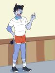 anthro australian_cattle_dog bluey_(series) bottomwear canid canine canis cattledog clothed clothing dolphin_shorts domestic_dog footwear fully_clothed fuze herding_dog hi_res male mammal pastoral_dog polo_shirt shirt shoes shorts socks solo stripe_heeler topwear