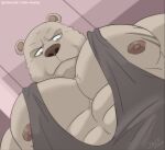 abs anthro bear beastars fur hi_res jabuhusky male mammal muscular muscular_anthro muscular_male nipples pec_pov_meme pecs riz_(beastars) scar solo