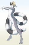  balls blonde_hair eyes_closed fur grey_fur hair lemur male mammal nude plain_background primate ringtail sheath solo stretching thewhitefalcon white_background 