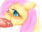  blue_eyes duo equine erection fellatio female feral fluttershy_(mlp) friendship_is_magic hair horse male mammal my_little_pony nabe nabesiki oral oral_sex penis pink_hair pony sex straight 