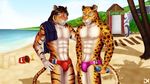  anthro beach biceps big_muscles body_markings brown_hair bucket bulge cloud dream_and_nightmare feline fur hair jaguar looking_at_viewer male mammal markings muscles night_(dream_and_nightmare) nipples outside pecs sand scar seaside shovel sky speedo sunny swimsuit tiger topless towel underwear water 