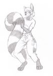  belt black_and_white canine clothing fox hair hybrid long_tail looking_at_viewer male mammal monochrome pants plain_background red_panda sketch solo tierafoxglove white_background 