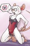  bdsm biscuit blush bodysuit bondage bound bulge caught crossdressing erection eyewear glass glasses lingerie looking_at_viewer male mammal penis rat rodent skinsuit solo unimpressive 