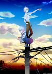  1girl artist_request ayanami_rei belt bird_nest blue_hair cloud egg feathers gainaxtop nagisa_kaworu neon_genesis_evangelion official_art on_top_of_pole outstretched_arm power_lines profile red_eyes school_uniform sky skyline squatting standing sunset telephone_pole white_hair 