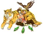  bad_id bad_pixiv_id bird brown_hair bug grasshopper hawk highres hino_eiji insect kamen_rider kamen_rider_ooo_(series) male_focus medal pants shirt solo tiger 