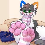 anonymous_artist anthro bodily_fluids canid canine canis clothing footwear hi_res legwear male mammal paws smelly smelly_feet soccer soccer_shoes socks solo sport sweat thigh_highs wolf