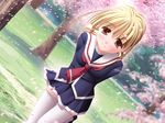  asakura_nao blonde_hair braid cherry_blossoms dutch_angle game_cg heaven's_cage leaning_forward long_hair non-web_source red_eyes school_uniform solo thighhighs white_legwear 