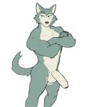 2024 anthro balls beastars biceps big_balls big_penis canid canine canis claws crossed_arms eyebrows foreskin fur genitals half-erect hi_res humanoid_genitalia humanoid_penis jrjresq legoshi_(beastars) male mammal muscular muscular_anthro muscular_male navel nude penis scar simple_background solo standing thick_penis tuft white_background wolf